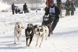 Lenk 2012 SM